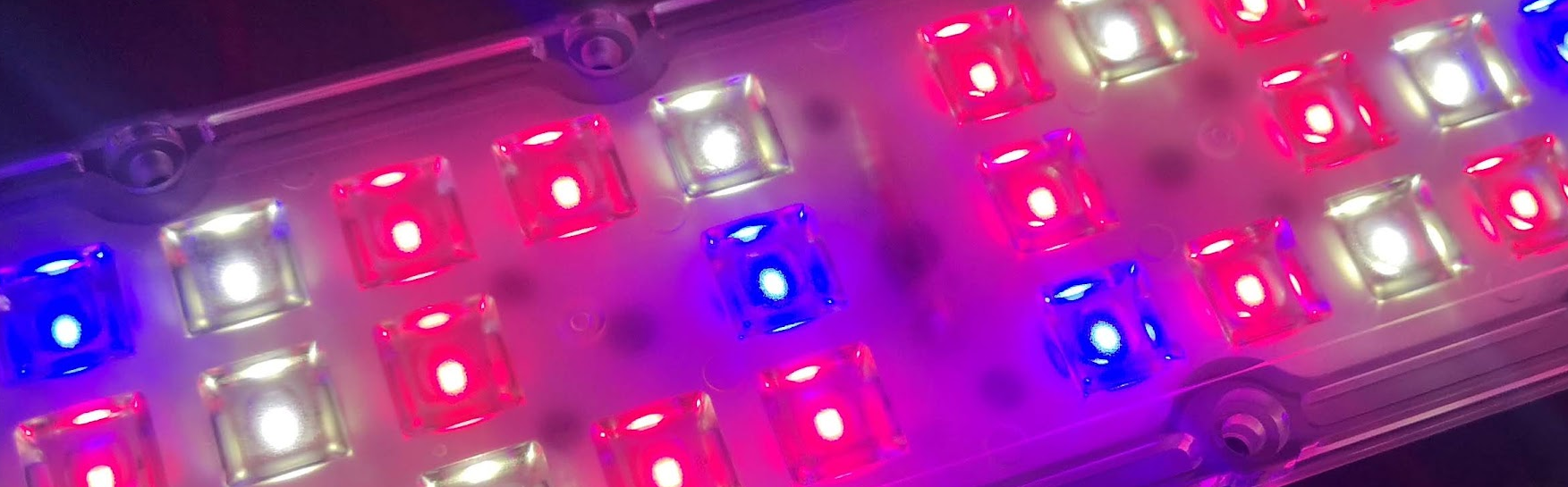 osram növényvilágító led